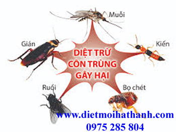 Dịch vụ diệt côn trùng - Diệt Mối Hà Thành - Công Ty CP DV Và Xây Dựng THT Việt Nam